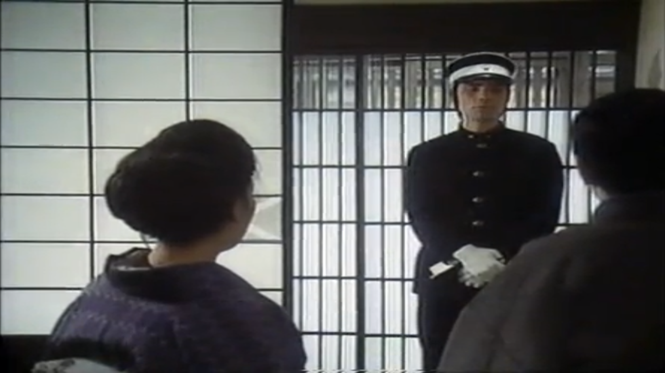 אני חתולPicture1